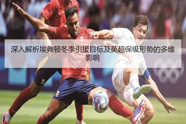 深入解析埃弗顿冬季引援目标及英超保级形势的多维影响